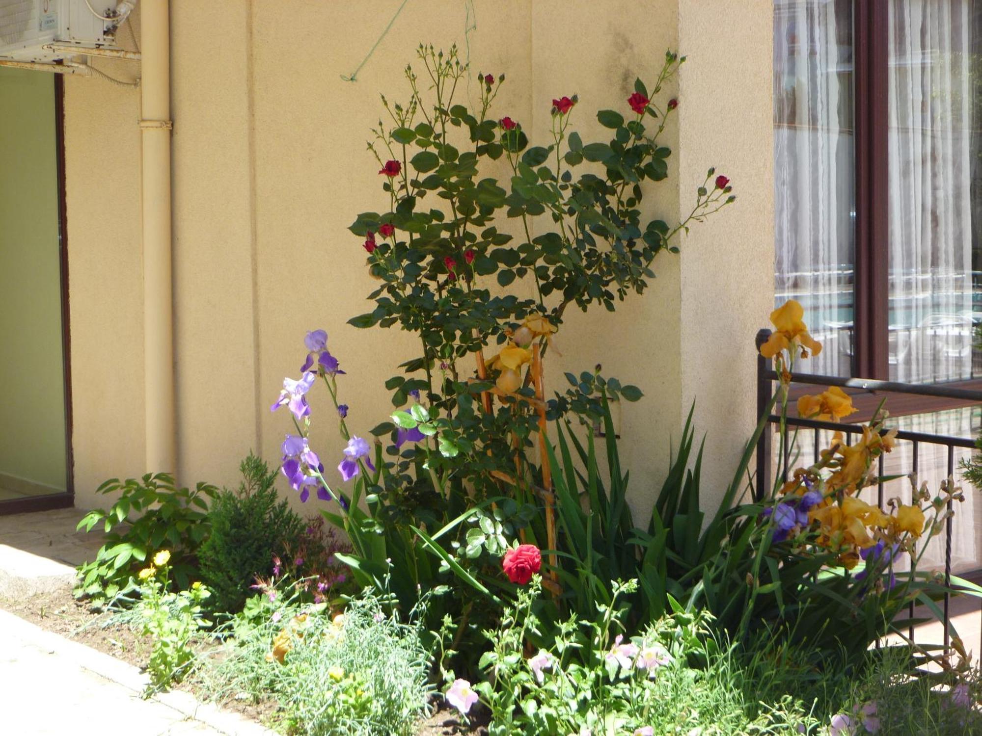 Apartment Tourist Complex Rose Village Slantchev Briag Extérieur photo